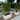 Torino Wide Rectangle Planter