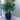 Lima Square Tapered Planter