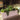 Vicksburg Rectangular Tabletop Planter