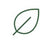 Biophilic Designs
