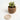 A wooden succulent planter by Woodland Pulse. This is a beige plant pot.