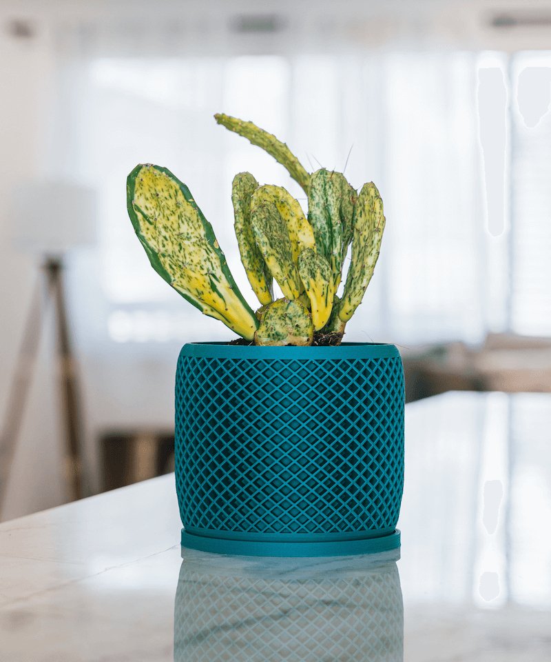 geometric plant pot Geometric Planter | Unique, Biophilic Design | One Tree Planted for Every Order | Free U.S. Shipping | 30-Day Returns | Eco-Friendly Material | Modern Geometric Plant Pots