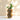 Beige small vase. Minimalist design.