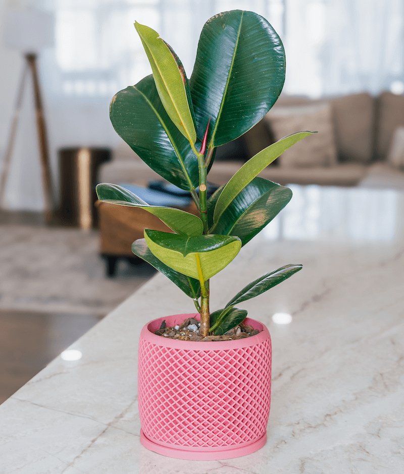 geometric plant pots indoor Geometric Planter | Unique, Biophilic Design | One Tree Planted for Every Order | Free U.S. Shipping | 30-Day Returns | Eco-Friendly Material | Modern Geometric Plant Pots