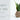 Woodland Pulse E-Gift Card - Give the Gift of Sustainable Style Woodland Pulse Modern Planters Unique planters Modern Vases Unique Vases Modern Planter Unique planter