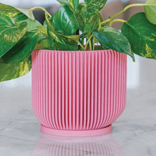 Modern Ribbed Planter - Woodland Pulse